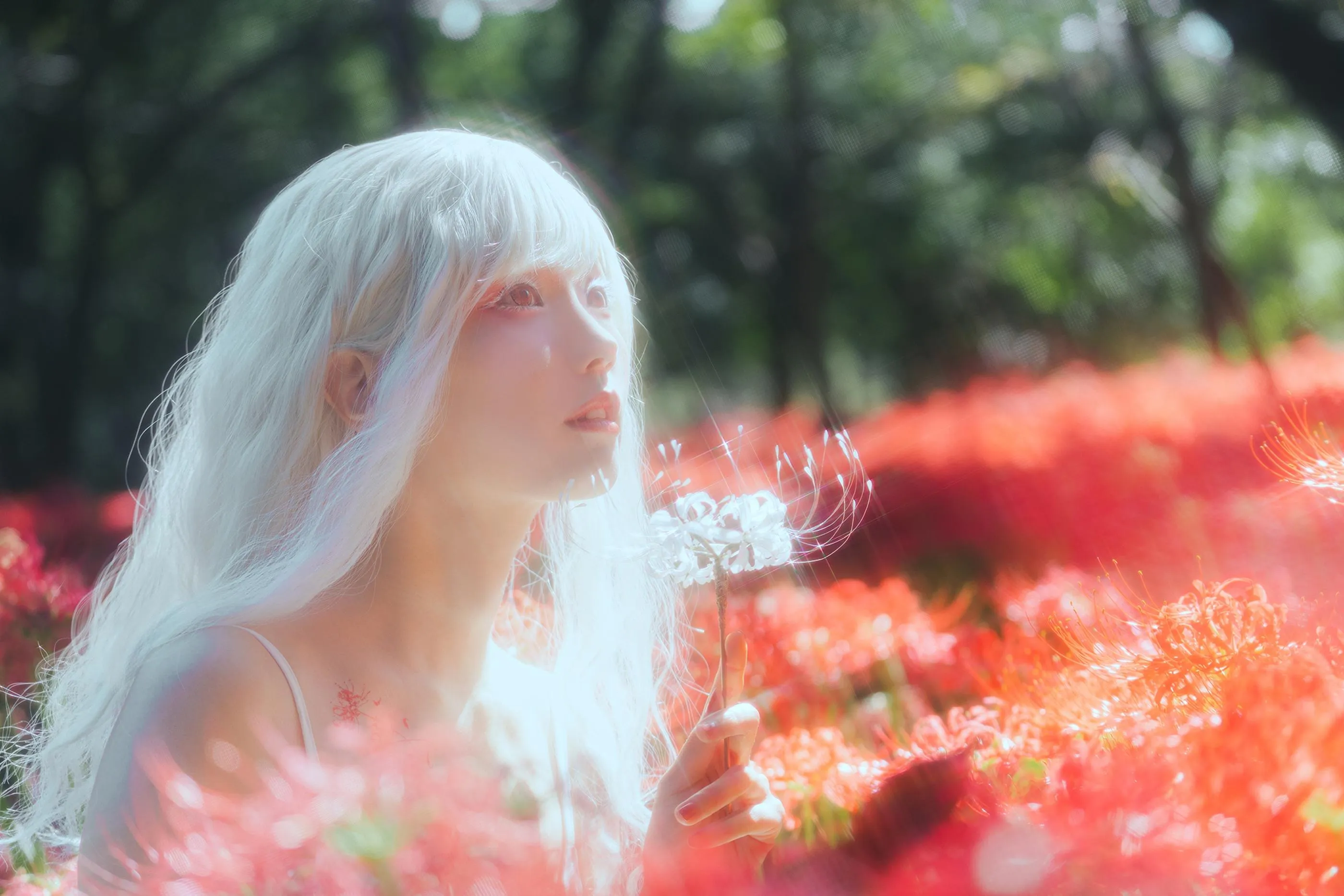 ElyEE子 – NO.129 23年10月订阅-B-White spider lily 白瓷彼岸 [27P]插图9